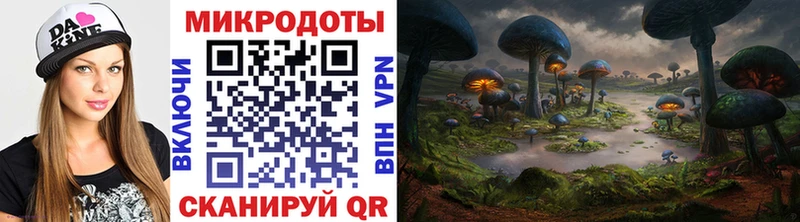 Галлюциногенные грибы Psilocybine cubensis  ссылка на мегу   Пустошка 